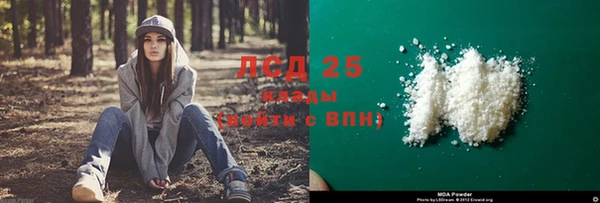ГАЛЛЮЦИНОГЕННЫЕ ГРИБЫ Аркадак