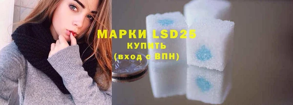 ГАЛЛЮЦИНОГЕННЫЕ ГРИБЫ Аркадак