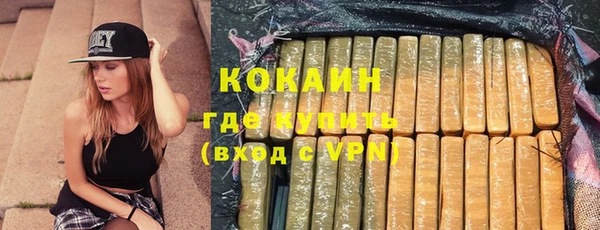 ГАЛЛЮЦИНОГЕННЫЕ ГРИБЫ Аркадак