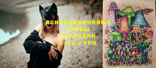 ГАЛЛЮЦИНОГЕННЫЕ ГРИБЫ Аркадак