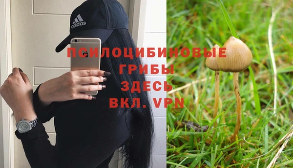 ГАЛЛЮЦИНОГЕННЫЕ ГРИБЫ Аркадак