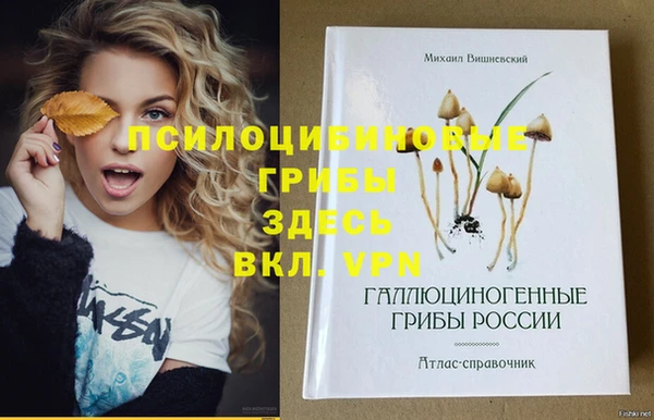экстази Армянск