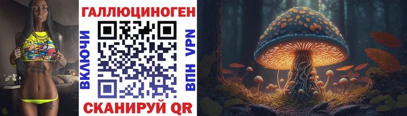 Псилоцибиновые грибы Psilocybine cubensis  Каспийск 